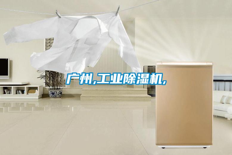 廣州,工業(yè)除濕機(jī),
