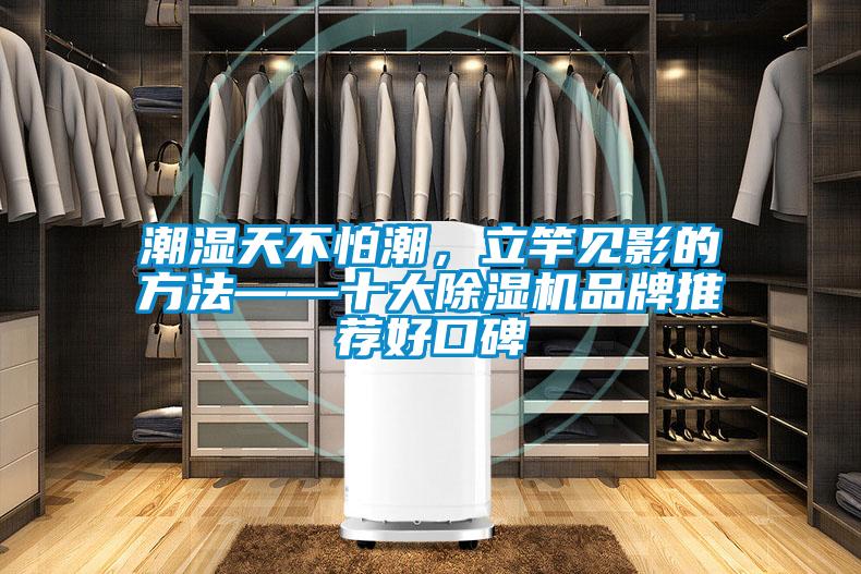 潮濕天不怕潮,立竿見影的方法——十大除濕機(jī)品牌推薦好口碑