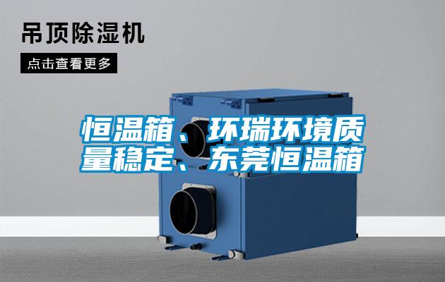 恒溫箱、環(huán)瑞環(huán)境質量穩(wěn)定、東莞恒溫箱