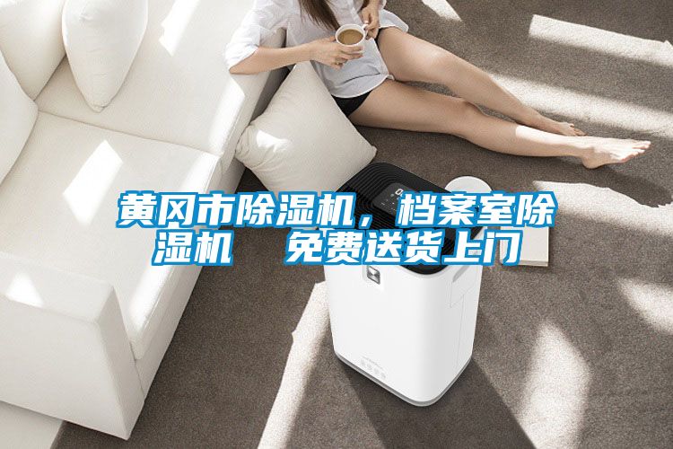 黃岡市除濕機，檔案室除濕機  免費送貨上門