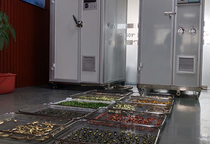 1d1d991c6c0ec9827a48085d953c0e4 1d1d991c6c0ec9827a48085d953c0e4